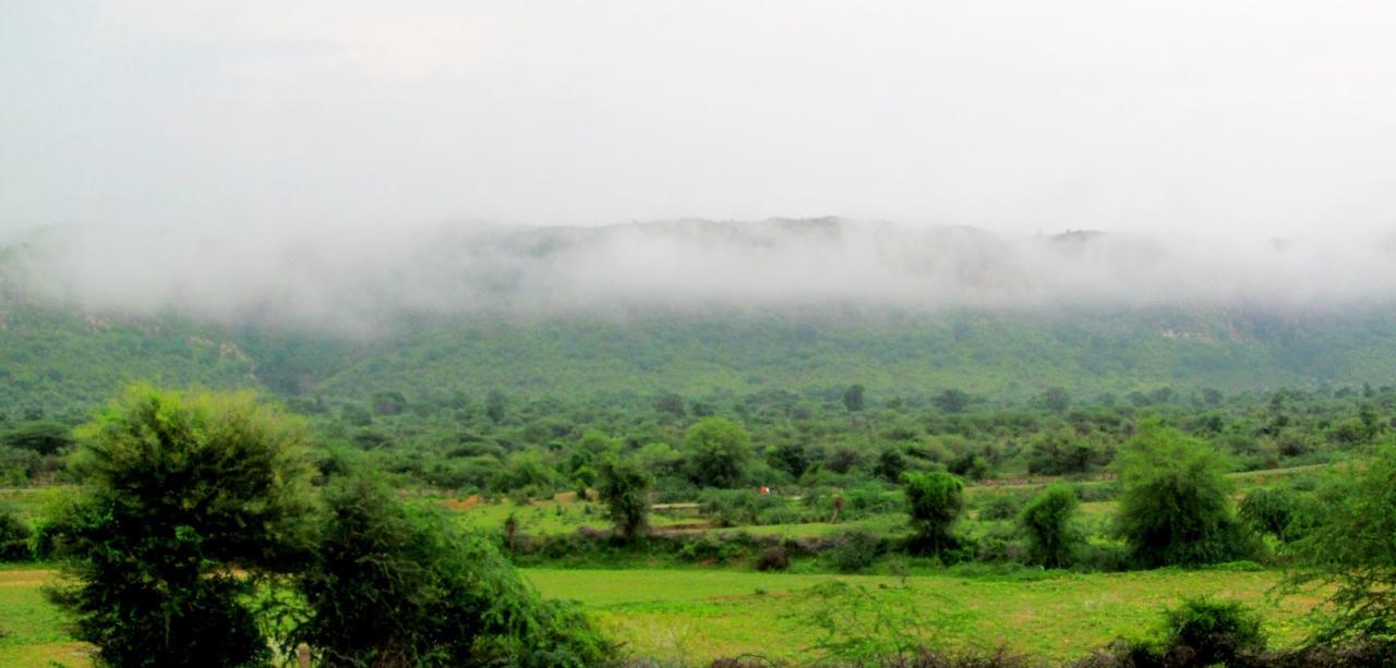 Ranthambhore Tiger Valley Sawai Madhopur Exterior photo