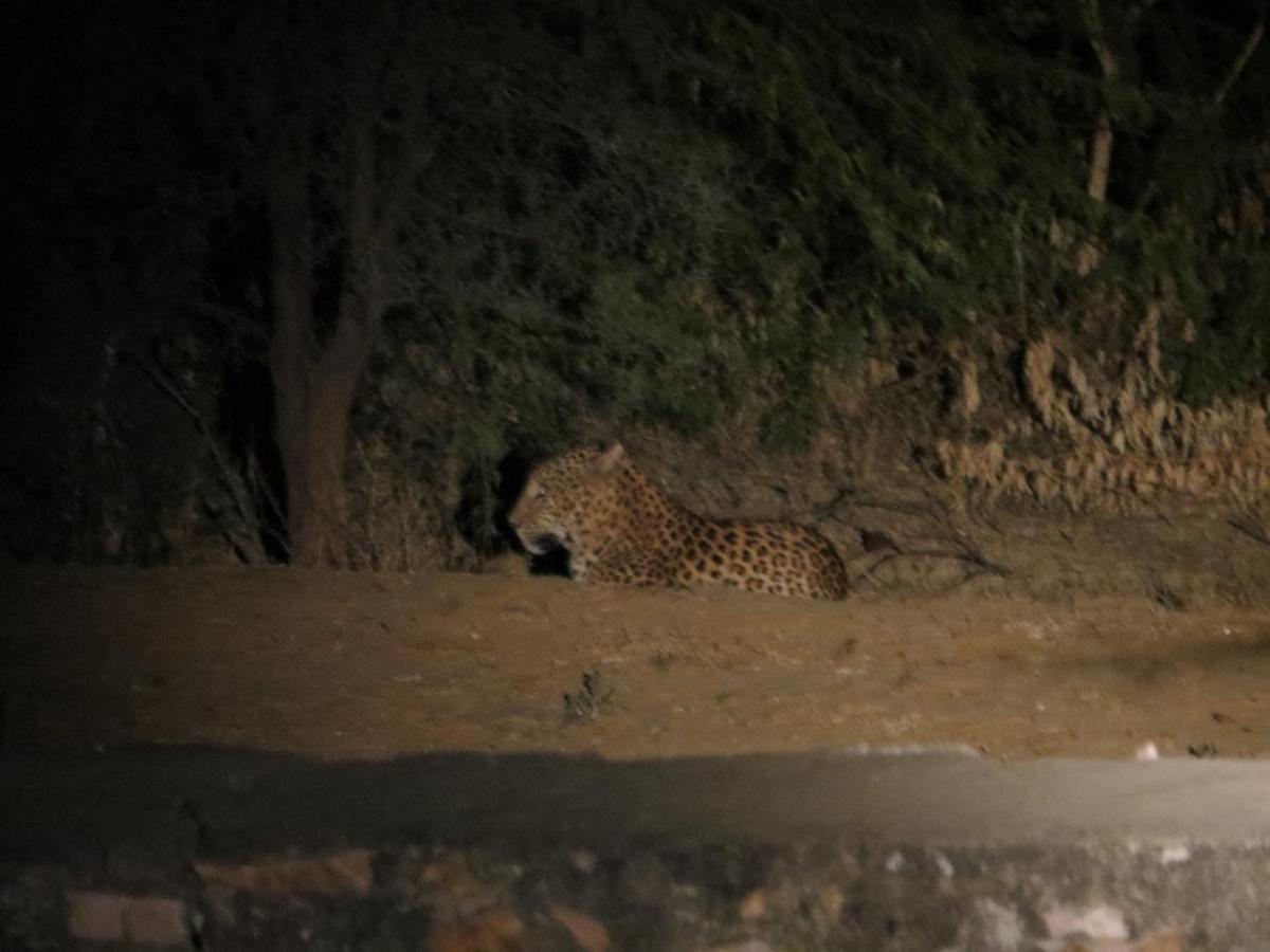 Ranthambhore Tiger Valley Sawai Madhopur Exterior photo